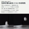Double.S ダブルエス スノーシューズ メンズ レディース スリッポン DS9005 ウィンターシューズ 防滑 撥水 防寒 軽量 23cm-28cm 男女兼用 ホーリー 柊