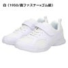 瞬足 上履き 女の子 男の子 白 上靴 しゅんそく 2E キッズ ジュニア スニーカー 子供 小学校 うわばき うわぐつ 運動靴 通学靴 軽い 学校 JJ-094 SJJ0940 JJ-095 SJJ0950 シュンソク 